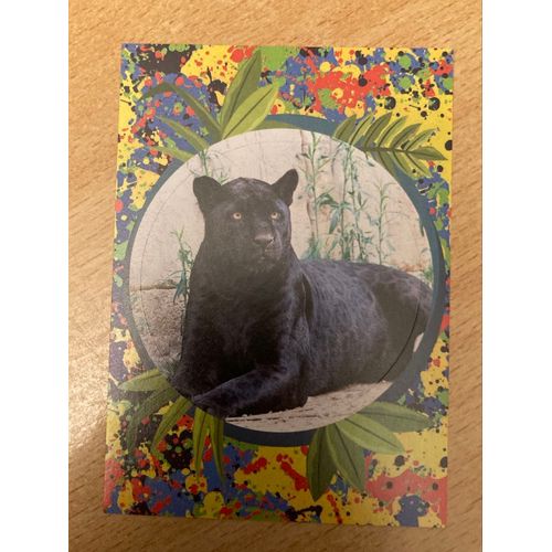 (3902) Image Panini 96 Le Monde Des Animaux Mille Et Une Couleurs 