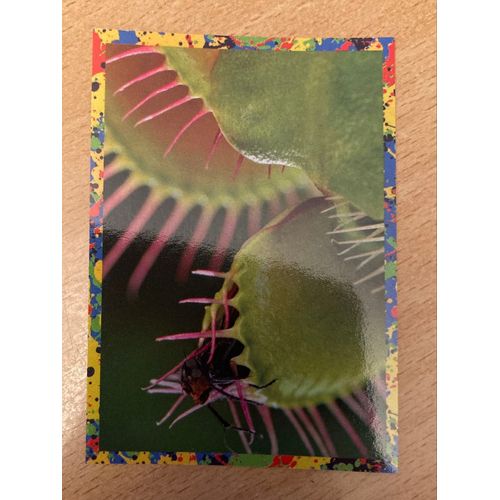 (3944) Image Panini 192 Le Monde Des Animaux Mille Et Une Couleurs 