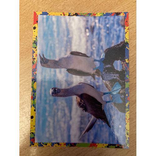 (4152) Image Panini 161 Le Monde Des Animaux Mille Et Une Couleurs 