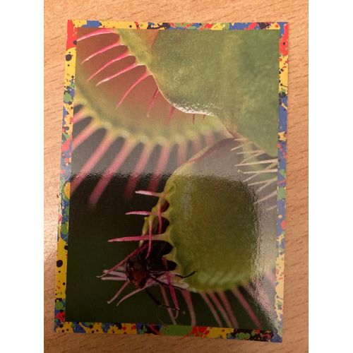 (4182) Image Panini 192 Le Monde Des Animaux Mille Et Une Couleurs 