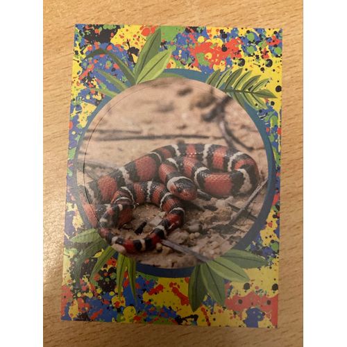 (4005) Image Panini 24 Le Monde Des Animaux Mille Et Une Couleurs 