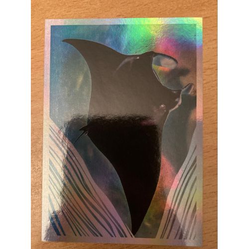 (4053) Image Panini 101 Le Monde Des Animaux Mille Et Une Couleurs 