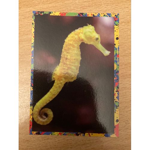 (3883) Image Panini 45 Le Monde Des Animaux Mille Et Une Couleurs 