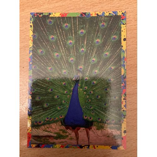 (426) Image Panini 68 Le Monde Des Animaux Mille Et Une Couleurs 