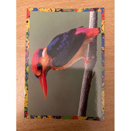 (4226) Image Panini 135 Le Monde Des Animaux Mille Et Une Couleurs 