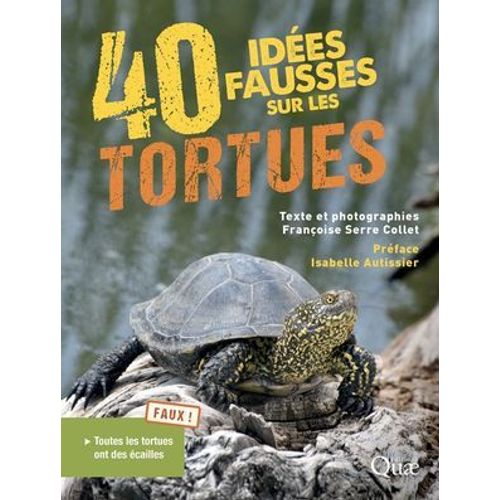40 Idées Fausses Sur Les Tortues