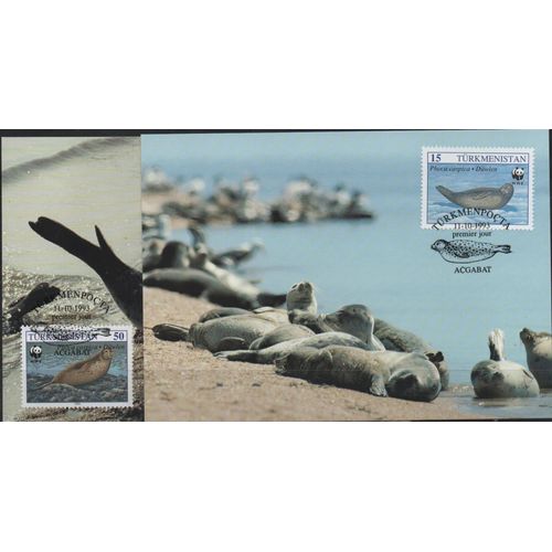 Turkménistan Cartes Animaux : Les Phoques