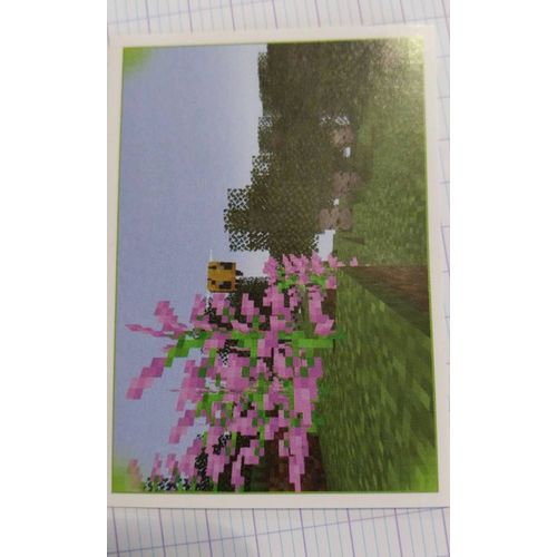 Carte Minecraft Panini 137