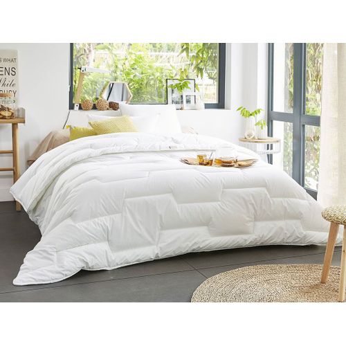 Couette Colas Normand Coton Percale 140x200cm