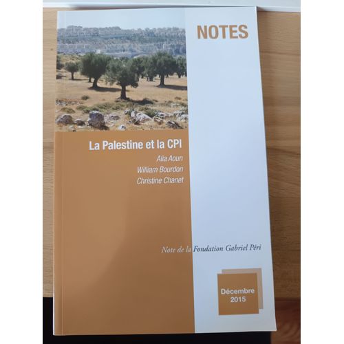 La Palestine Et La Cour Pénale Internationale