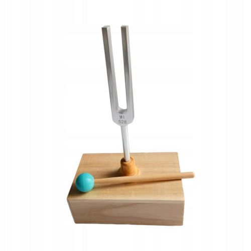 Résonance Du Diapason Boîte De Résonance Du Diapason Équipée De Silicone