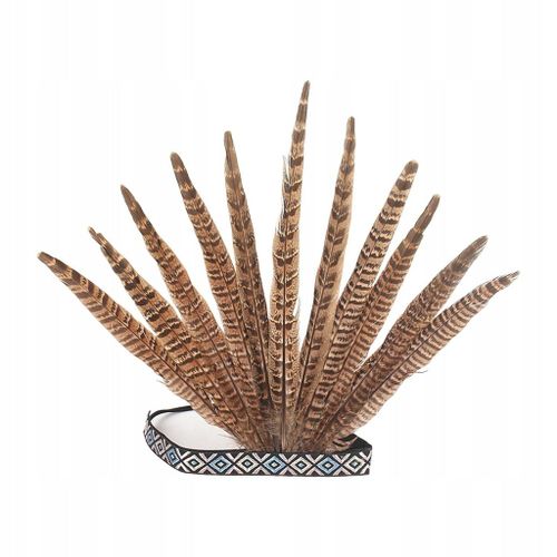 Bandeau À Plumes Coiffe Indienne Accessoires De Costume De Paon Coiffes