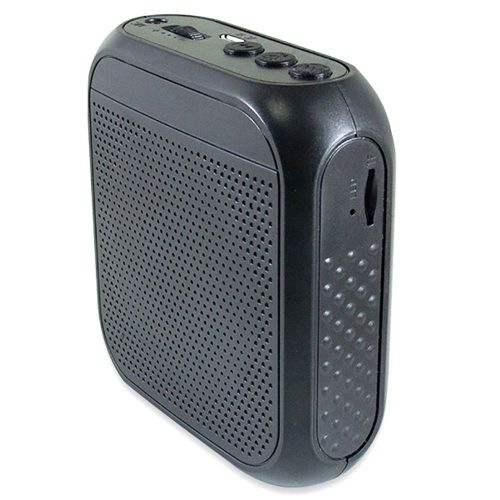Microphone filaire Portable, amplificateur vocal, haut-parleur Audio, haut-parleur d'enseignement-Noir