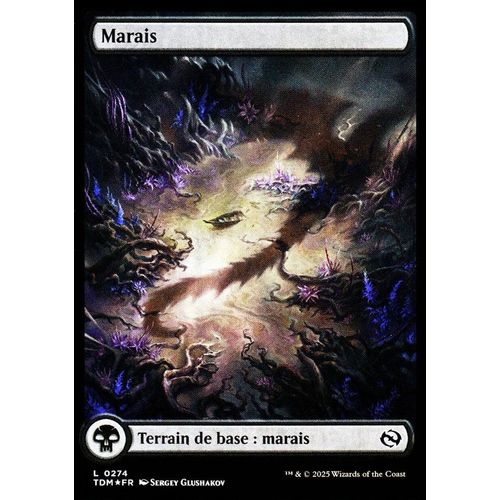 Marais - Foil - Magic - Tarkir La Tempête Des Dragons - C - 274