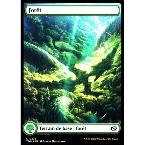 Forêt - Foil - Magic - Tarkir La Tempête Des Dragons - C - 276