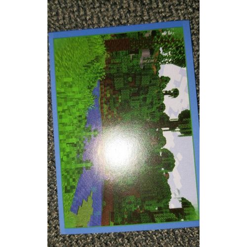 Carte Minecraft Panini 7