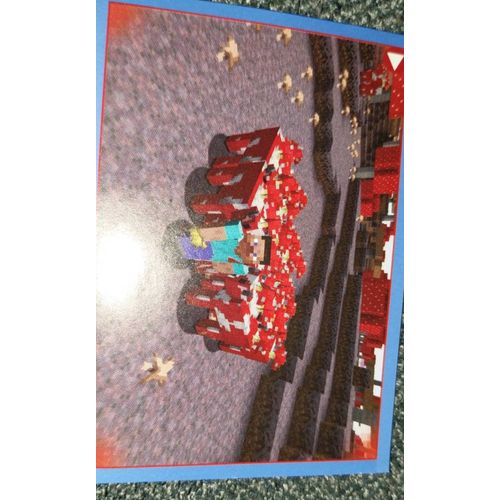 Carte Minecraft Panini 49