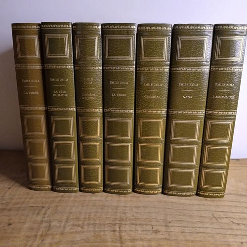 7 Volumes Des Oeuvres D'Émile Zola Reliés Aux Éditions Rencontre Lausanne