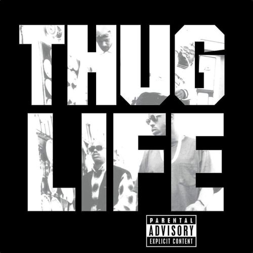 Disque Vinyle Hip-Hop Universal 2pac - Thug Life