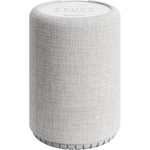 Audio Pro G10 - Enceinte sans fil Bluetooth - Gris