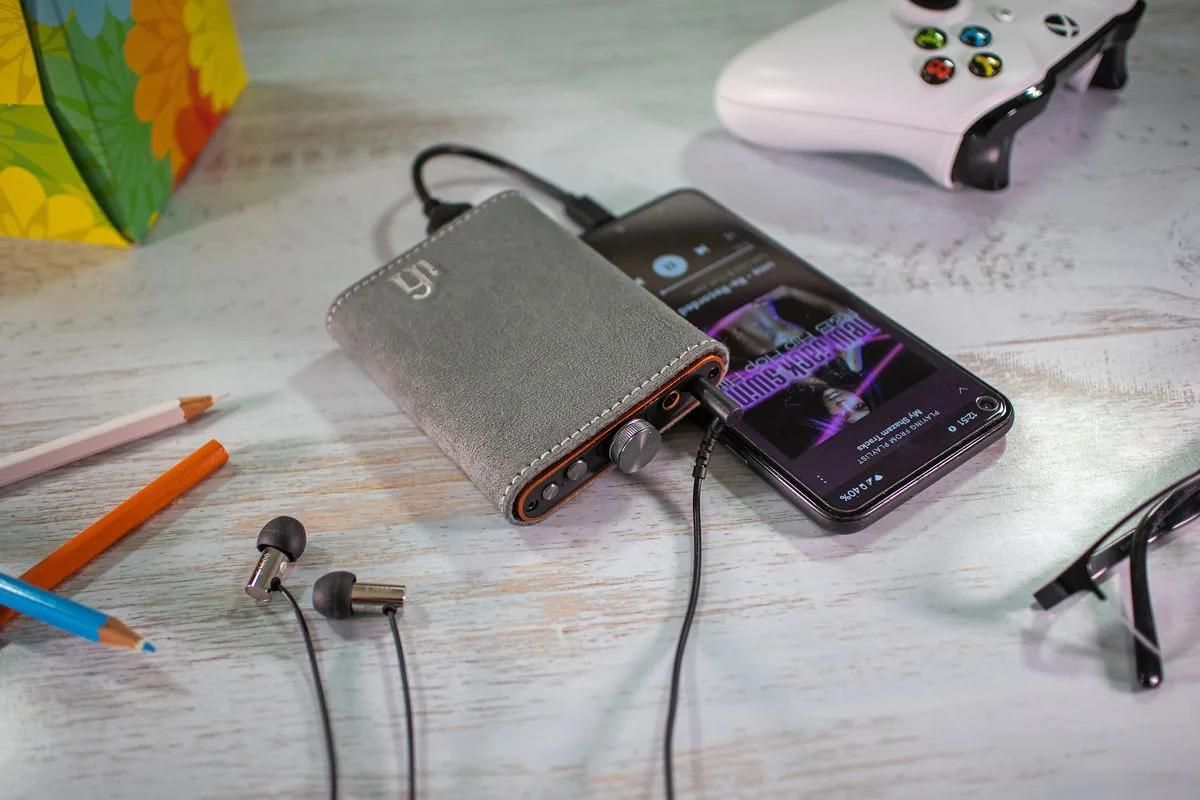 Protection iFi Audio Hip Case - 6