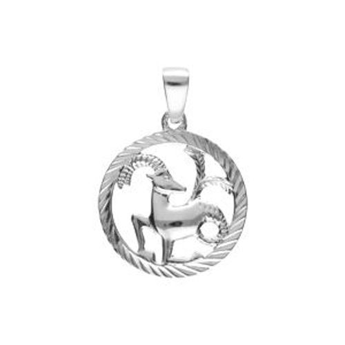 Pendentif Argent Rhodié Médaille 15mm Striee Zodiaque Capricorne Decoupé