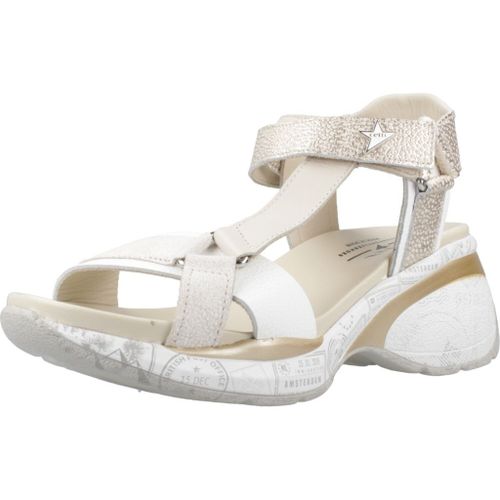 Cetti C1317sra V25 Colour D¿or