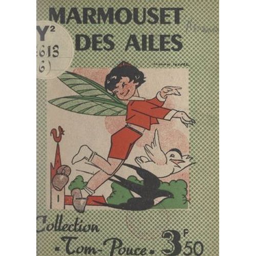 Marmouset A Des Ailes
