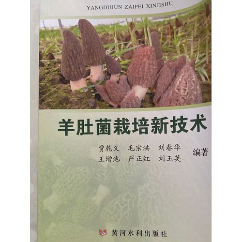 Techniques Modernes De Culture De Morilles