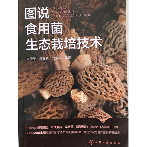 Culture De Champignons 