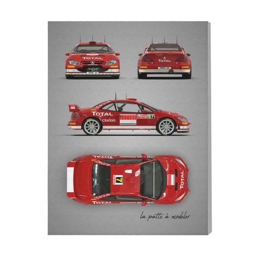 Canevas imprimer Peugeot 307 WRC=9754 Rétro Voiture Véhicules et Motos Impression sur toile DIY installer 40x50