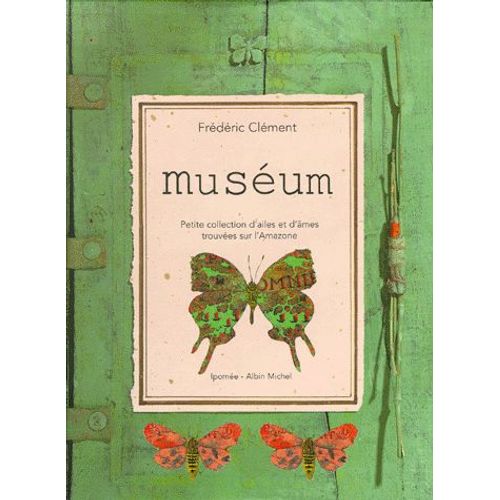 Museum - Petite Collection D'ailes Et D'âmes Trouvées Sur L'amazone
