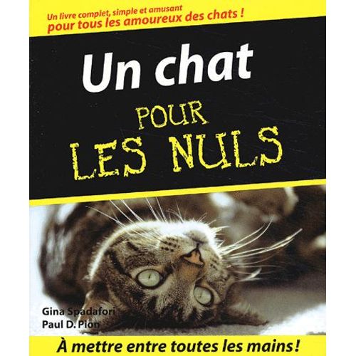 Un Chat Pour Les Nuls