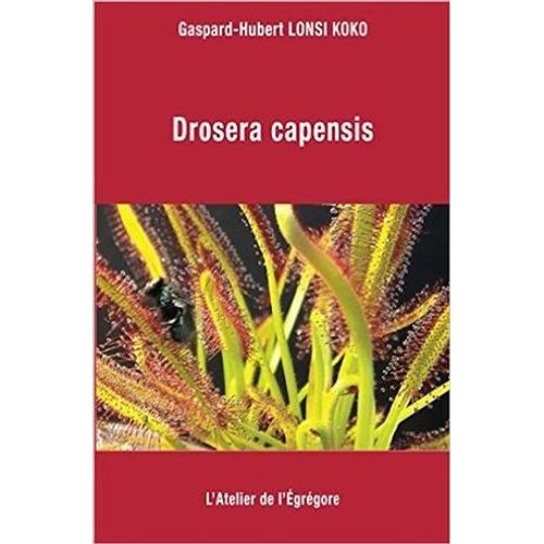 Drosera Capensis