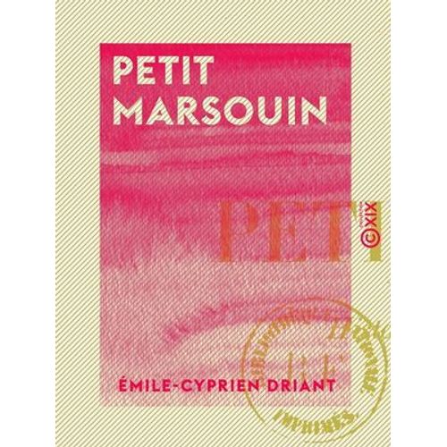 Petit Marsouin - Histoire D'une Famille De Soldats, 1870-1886