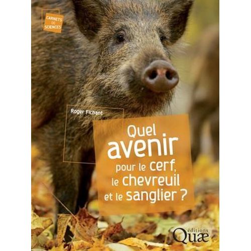 Quel Avenir Pour Le Cerf, Le Chevreuil Et Le Sanglier ?