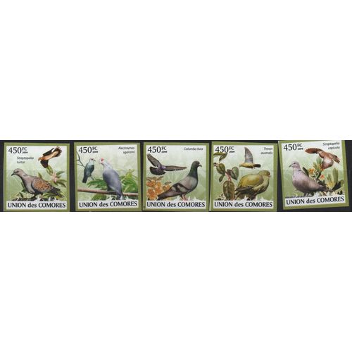 Comores Timbres Animaux : Les Pigeons 2009 Non Dentelés