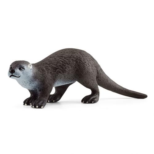 Wild Life Loutre