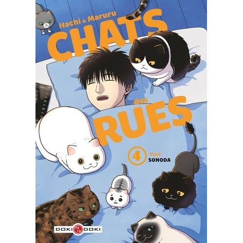 Hachi Et Maruru - Chats Des Rues - Tome 4