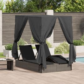 Transat Double Vidaxl Avec Toit Et Rideaux En Poly Rattan Gris
