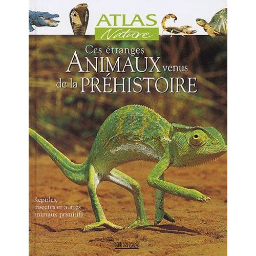 Ces Étranges Animaux Venus De La Préhistoire
