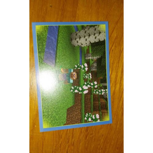 Carte Minecraft Panini 124