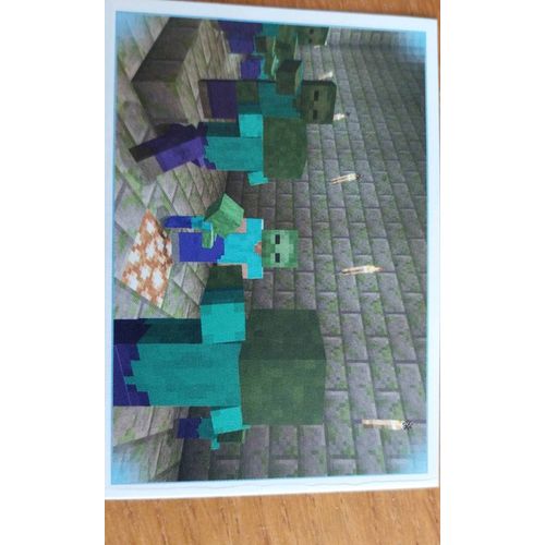 Carte Minecraft Panini 242