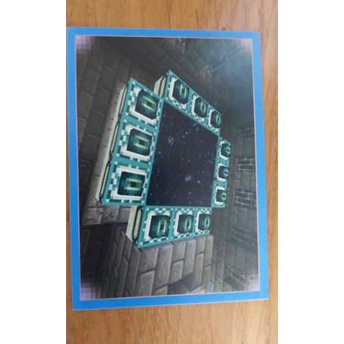 Carte Minecraft Panini 248