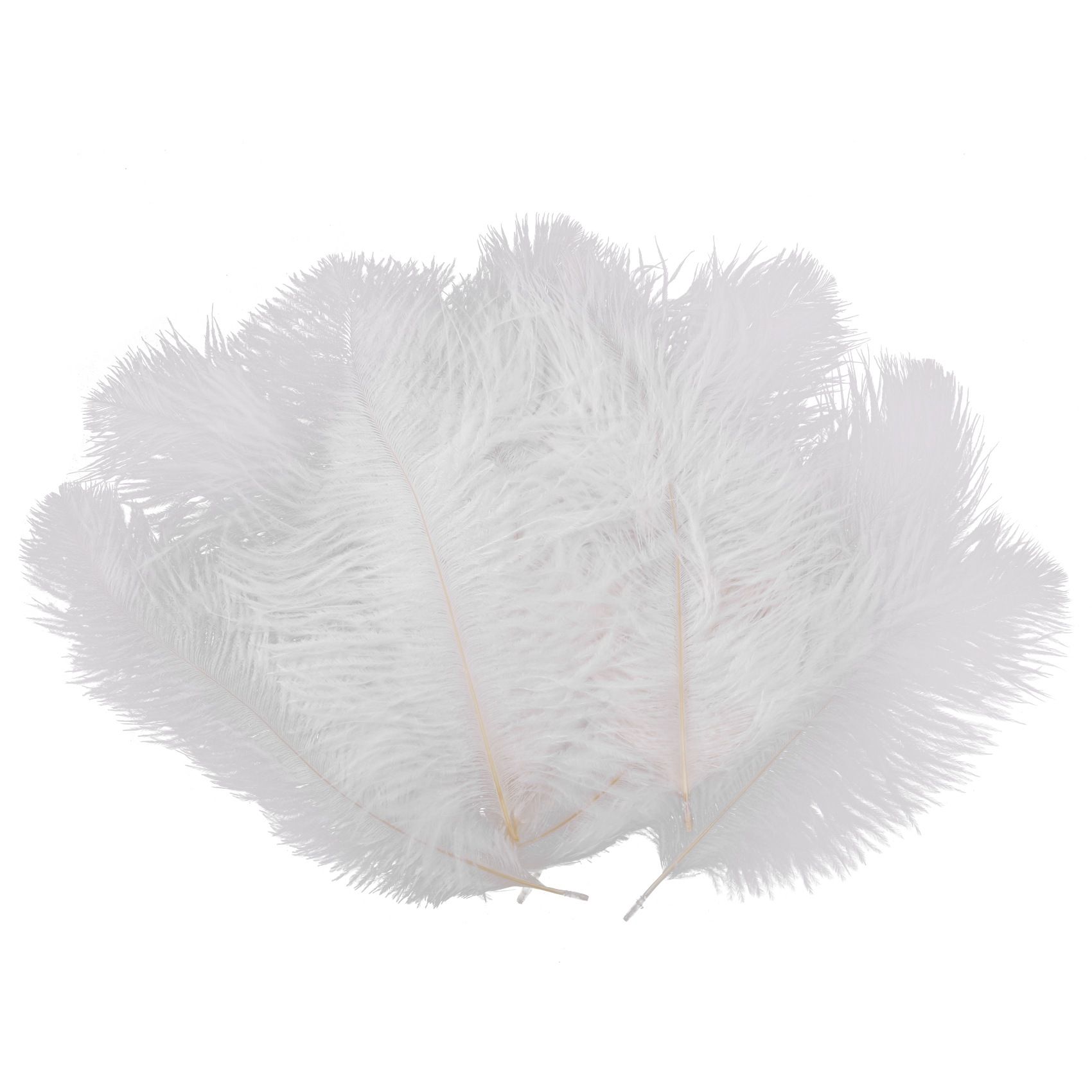 10 Pices Plume D'autruche Blanche 20-25cm Mariage Bricolage...