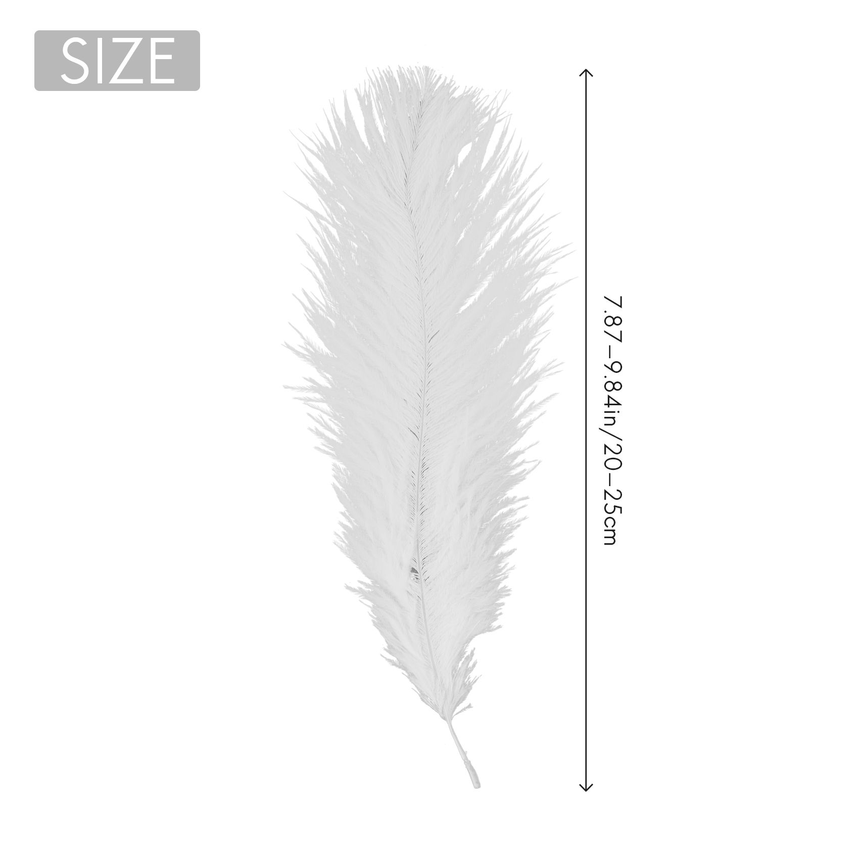 10 Pices Plume D'autruche Blanche 20-25cm Mariage Bricolage... - 4