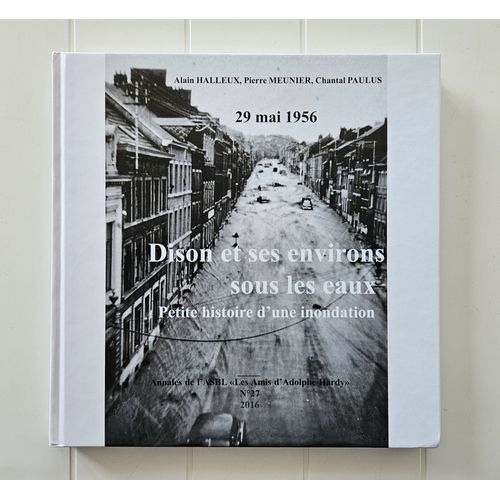 Dison Et Ses Environs Sous Les Eaux : Petite Histoire D'Une Inondation