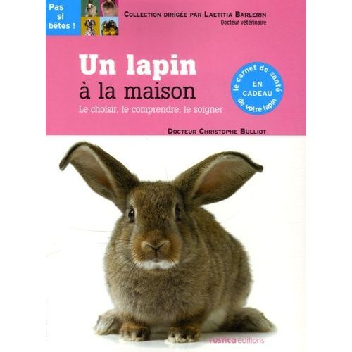 Un Lapin À La Maison - Le Choisir, Le Comprendre, Le Soigner