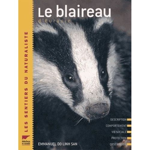 Le Blaireau D'eurasie