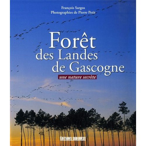 Forêt Des Landes De Gascogne - Une Nature Secrète